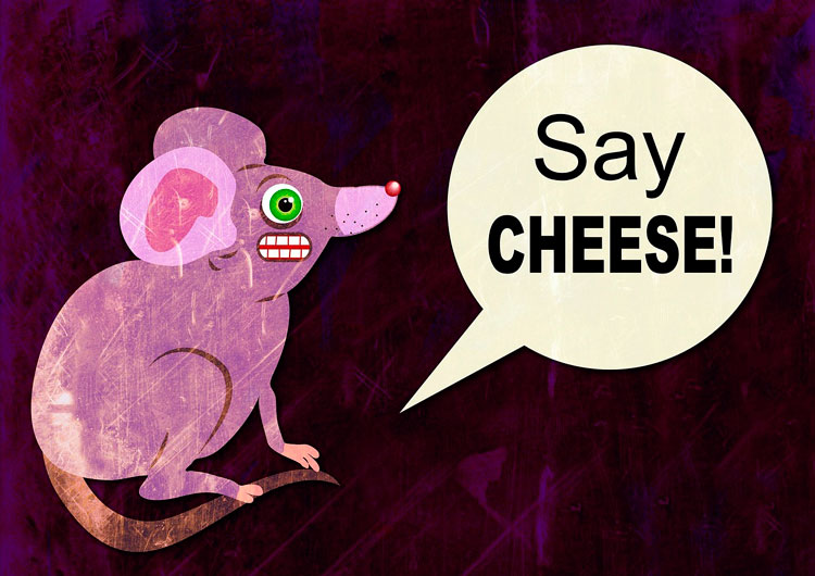 Si el Ratoncito Pérez es un ratón, el queso debe ser bueno para los dientes.